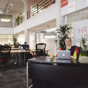 Photo of HatchToday