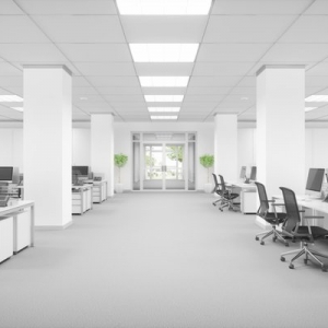 Photo of Moving Plus
