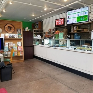 Photo of San Anselmo Computer & Phone Repair