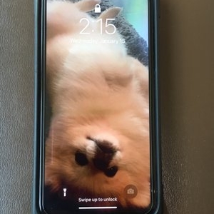 Photo of Fix Bee