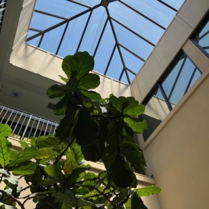 Photo of The Law Office of Scot S Fagerland