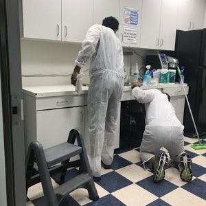 New York A+ Totally Clean Service