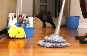 Photo of Best Home Services