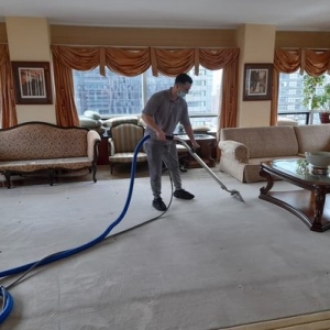 Photo of PristineGreen Upholstery and Carpet Cleaning