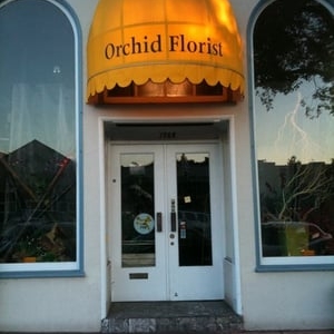 Berkeley Orchid Florist