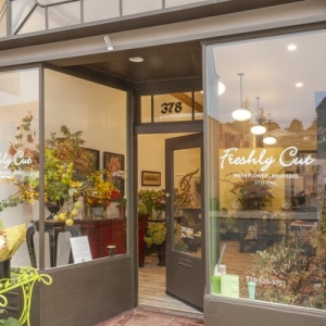 Photo of Freshly Cut Florist