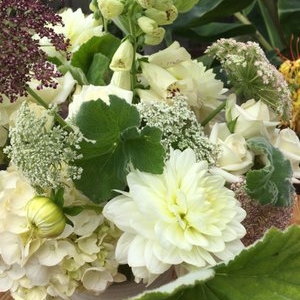 Photo of Freshly Cut Florist