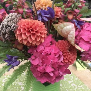 Photo of Freshly Cut Florist