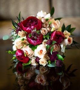 Photo of Kay Wolff Design