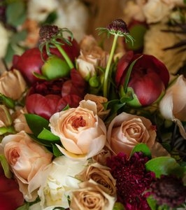 Photo of Kay Wolff Design