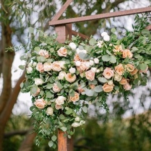 Photo of Esscents of Flowers