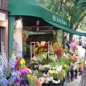 Photo of Mill Valley Flowers