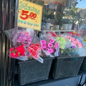 San Francisco Floreria Regalos Guadalupana