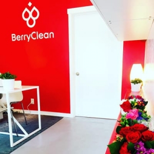 Photo of BerryClean