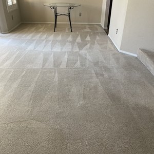 Photo of Organic Cleaning Service