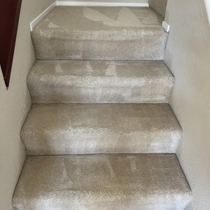 Photo of Organic Cleaning Service