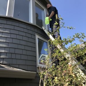 Photo of Dome Cleaning