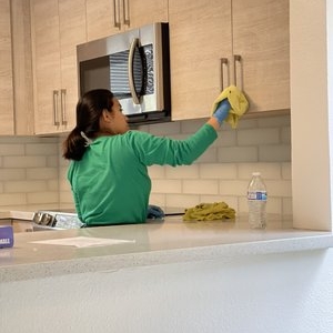 Photo of Organic Cleaning Supreme