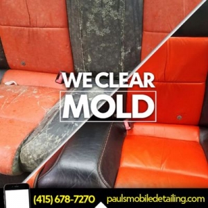 Photo of Paul's Mobile Detailing