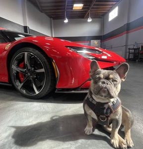 Photo of Autobody Detail Specialist - ADS Mobile