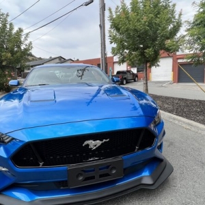 Photo of JD Morse Detailing