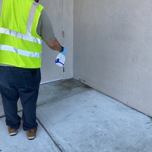 Photo of San Francisco Spark Cleaning