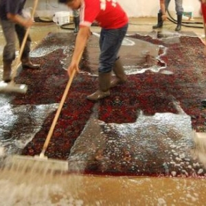 Photo of Rose Rug Cleaning & Repair