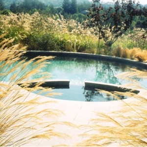 Photo of Bay Area Pools