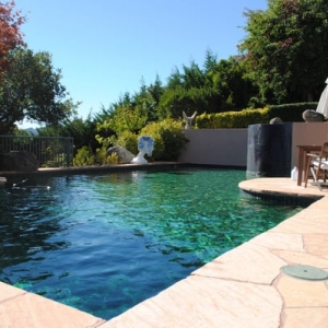 Photo of Marin Pool Service