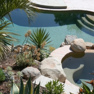 San Rafael Herb's Pool Service