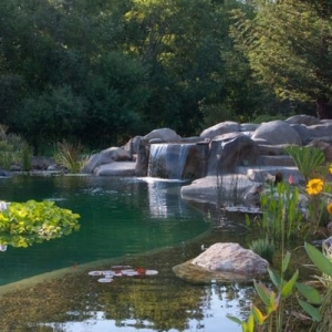 Photo of McDonald Pools
