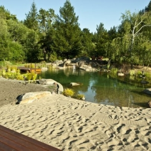 Photo of McDonald Pools