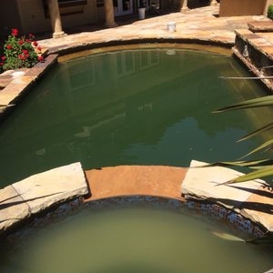 Photo of Palmer's Pool Service