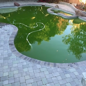 Photo of Accurate Pool Care