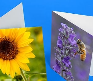 Brisbane Blue Bee Printing