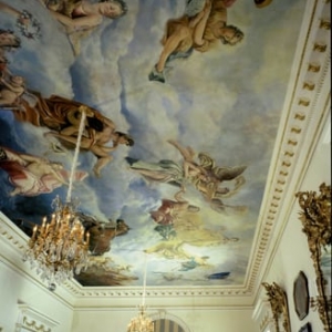Photo of Andrew Tedesco Studios