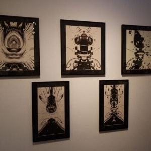 Photo of Agora Gallery
