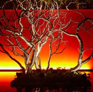Photo of Novo Arts