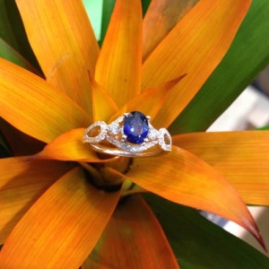 Photo of Da Vinci Jewelry Design