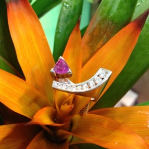 Photo of Da Vinci Jewelry Design