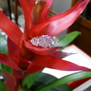 Photo of Da Vinci Jewelry Design