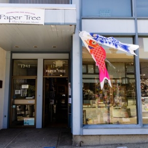 Photo of Paper Tree