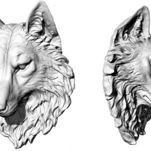 Photo of NYC3Dscan