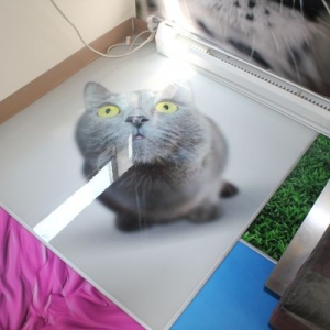 Photo of Epox Printing Solutions