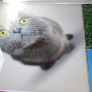 Photo of Epox Printing Solutions