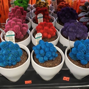 Photo of Park Floral Company