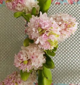 Photo of Mahir Floral & Event Designs