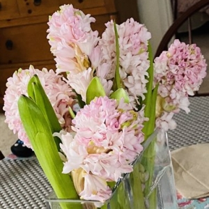 Photo of Mahir Floral & Event Designs