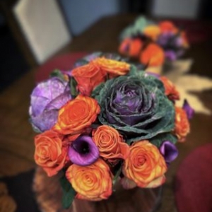 Photo of Rosa Rosa Flowers
