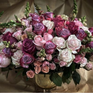 Photo of Rosa Rosa Flowers